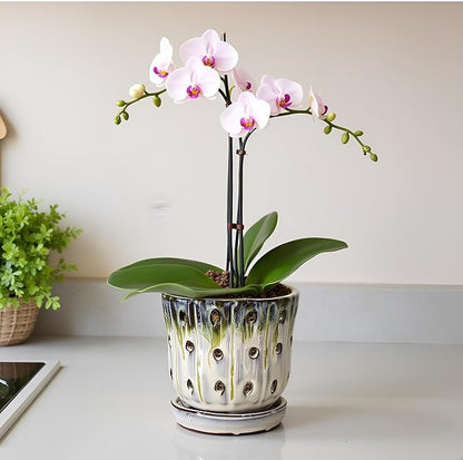 Orchid Pots 4.9 inch Round Ceramic Orchid Pots with Holes Set of 2 (SkyBlue+White with Lemon Green)