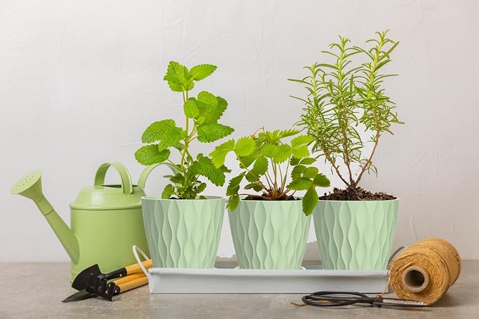 6 Inch Plant Pots, 6 Pack Indoor Flower Pots, Planters with Drainage Holes and Trays for Orchids, Violets, Succulents, Herbs, and Other Plants,Green