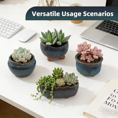 Ceramic Succulent Garden Pots Small Plant Planter Container with Drainage Set of 5 for Home Office Decor