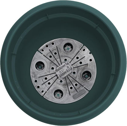 Bloem Ariana 12" Plastic Self-Watering Planter, Charleston Green, 2-Pack | Self-watering disk at the bottom of each pot that acts as a water wick and reservoir for optimal plant health