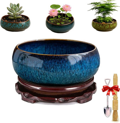 Lotus Bowl Planter - Ceramic Leak-Proof Hydroponic Pot with Rotating Bracket, 6.5 x 2.5 in Round Shallow Plant Glazed Vase, Indoor Water Planting for Home, Patio, Zen Garden Decor