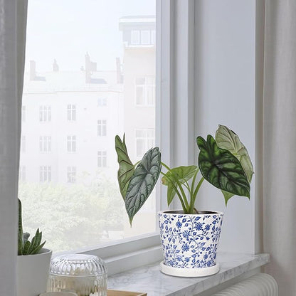 Set of 3 Decorative Plant Pots Blue and White Flower Pot, Round Ceramic Planters for Indoor Plants Pots with Drainage Hole Saucers, Retro Planter Pot for Succulents Cactus Outdoor Garden, 5.5/5.7 Inch