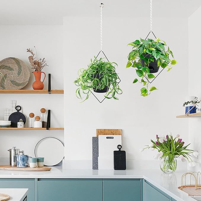Koalaime Hanging Planters for Indoor Plants, 2 Set Self Watering Hanging Flower Pots, Modern Hanging Plant Baskets with Metal Plant Holder & 6.5 Inch Plastic Pots for Garden Home Decor (Black)
