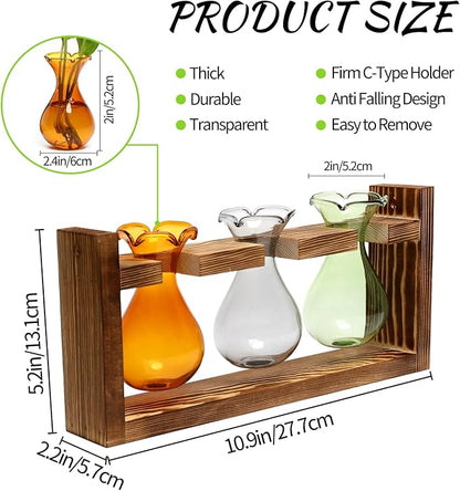 Plant Propagation Station Plant Terrarium Unique Birthday Gifts for Women | Plant Lovers Home Office Decor Planter with Wooden Stand - 3 Bulb Glass Vase
