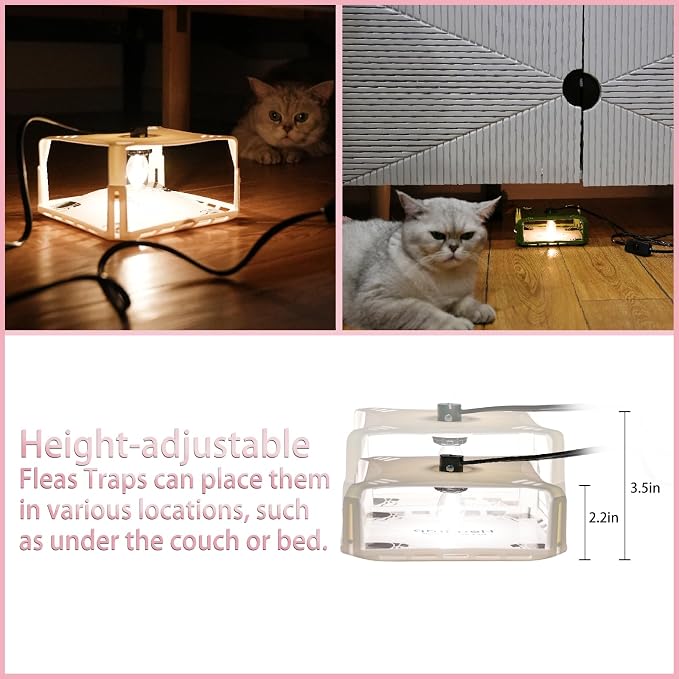 Flea Traps for Inside Your Home 2 Packs, Flea Trap with Light for Indoor Bed Bug, Flea Killer Pest Control, Non Toxic & Harmless, Friendly to Pets & Kids, with 6 Sticky Refills and 6 Lightbulbs