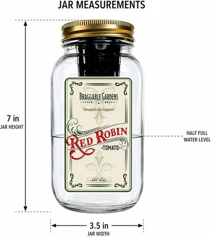 Red Robin Cherry Tomato Indoor Garden Kit – Mason Jar Hydroponic Tomato Grow Kit – Windowsill Countertop Tomato Planter – Grow Tomatoes Indoors