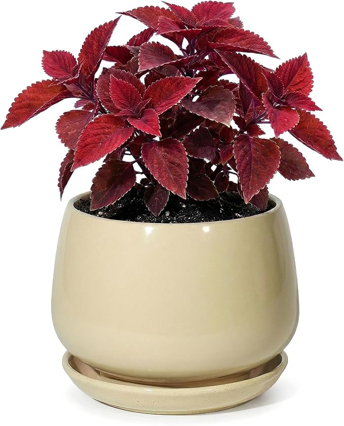7.5 Inch Ceramic Planter with Saucer,Modern Garden Pots with Drainage Hole Mesh Net, for Indoor Outdoor Use(Pink Yellow)