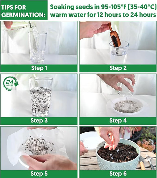 600+ Pepper Seeds, 10 Varieties Hot and Bell Pepper Seeds Garden Kit | Heirloom Vegetable Seed for Planting Indoor Outdoor, Non-GMO Home Fresh Food Hydroponic Veggie Supply