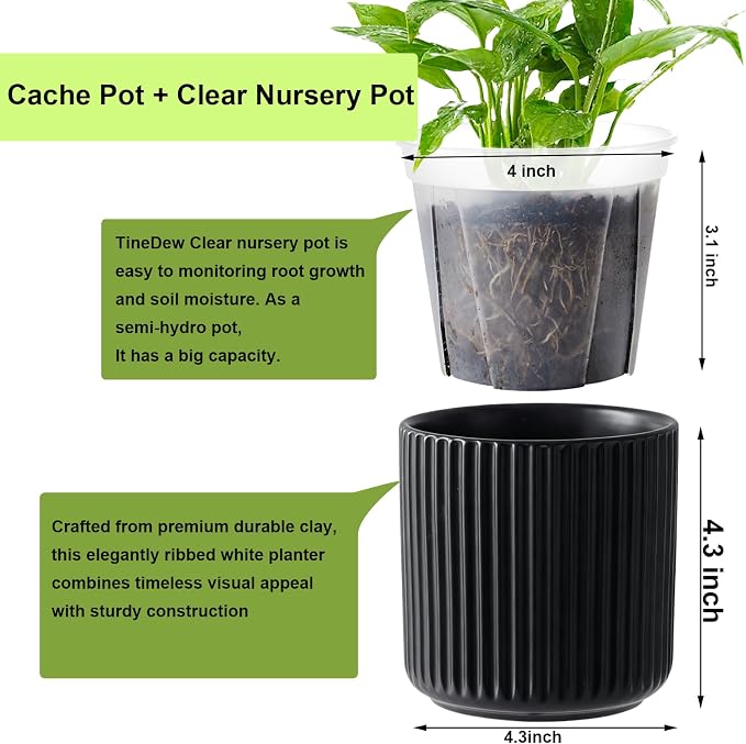 2 Pack of 4in Ceramic Cachepot with 4 inch Clear nusery Pot - self Watering Indoor Planter with Drainage for Root Visibility,semi Hydro pots for repotting Succulent,Black