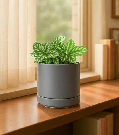 D'vine Dev 4.7 Inch Ceramic Planter Pot, Grey, 94-O-B-3 | Modern Cylinder Design, Drainage Hole & Saucer Included, Stable Structure, Elegant Home Accent