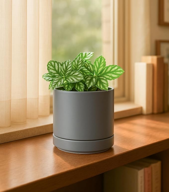 D'vine Dev Set of 4 Small Ceramic Plant Pots, 4.7 Inch Succulent Planter Pot for Plants with Drainage Hole and Saucer, Grey, 94-X-B-3