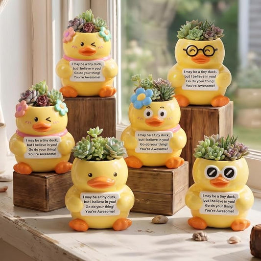 Roshtia 6 Pack 2.5 Inch Duck Ceramic Succulent Planter Pots with Drainage Hole, Mini Cute Flower Pots Container for Home Office Garden Decoration Emotional Support Buddies Christmas Housewarming Gifts