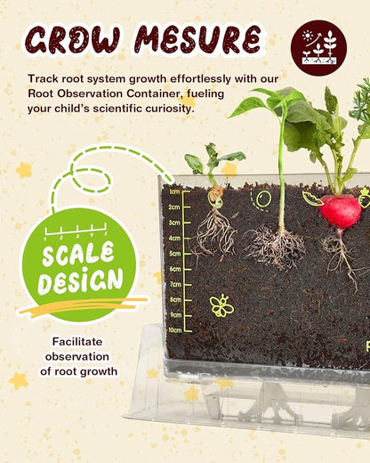 Root Viewer Kit for Kids with 6 Seed Varieties - STEM Science Kits for Kids Age 5-7, 8-12 | Perfect Christmas, Easter, Birthday Gift & School Gardening Project | Learning Educational Gardening Toys