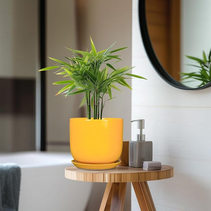 Indoor Plant Pot - 7 Inch Modern Round Ceramic Planter for Indoor Outdoor Plants with Drainage Hole and Saucer, Home Garden Office House Decor, Yellow