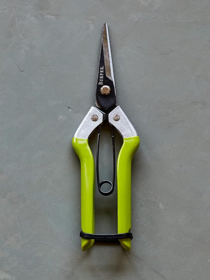 Burpee CR725 Garden Pruning Shears - Garden Hand Tools - Lightweight Precise Pruners for Gardening - Great for Flower Trimming or Vegetable Harvesting - Gardener Gifts
