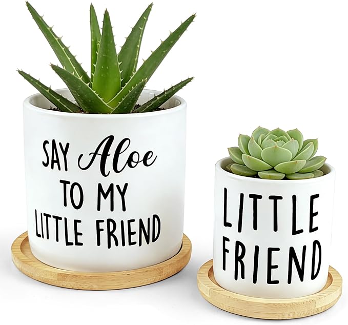 Say Aloe to My Little Friend Planter Pot, Funny Plant Pots, Aloe Plant Pot Succulent Pots with Tray Set of 2 Flower Pots Indoor Pot - Without Plants, Office Home Windowsill Gifts (No Plant)
