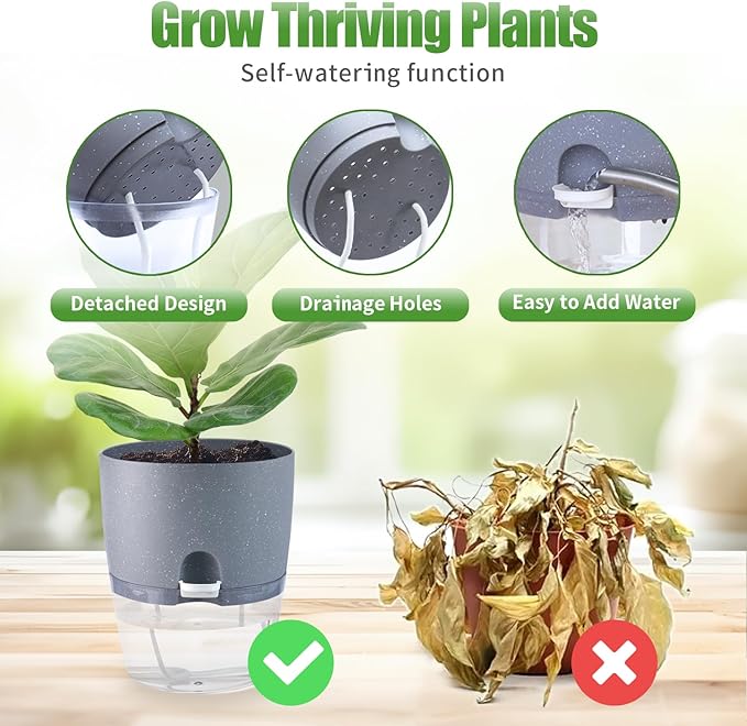 Oliz 6" Self Watering Pots for Indoor Plants, 6pk Grey w/Drainage Saucers | w/ 1 Free Spray Bottle, Plastic Planters for Arican Voilet, Flower Pots for All House Plants