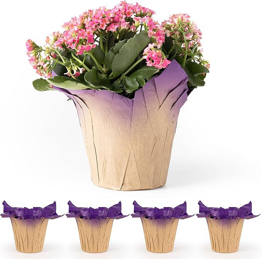 6” AZA Plant Pot Covers, FSC® Certified Recycled Kraft Paper, Decorative Plant Sleeve for House Plants, Reusable and Gift-Ready for Potted Flowers, Purple, Pack of 5