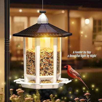 Birdream Solar Bird Feeders for Outdoors Hanging, Assembly Required, 1-Min Easy Setup, Wild Seed Feeders for Cardinals Chickadees and Finches