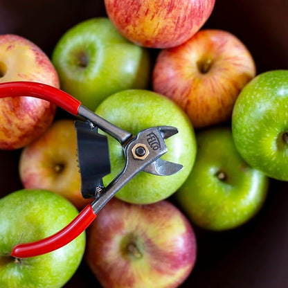FELCO 330 - Citrus Clipper - Harvest Snip - Orange, Clementines, Apple & Fruit Stems