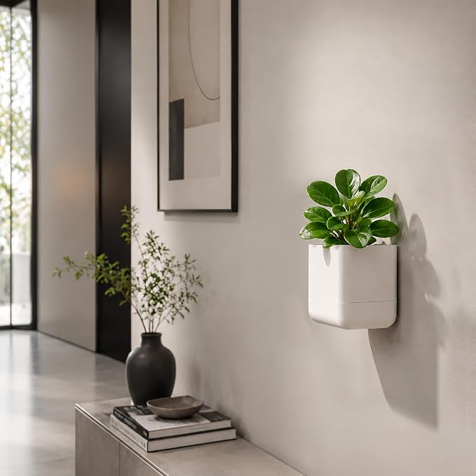 Phoenix Vine 4.5 Inch Wall Mounted Self-Watering Planter Pot for Indoor Houseplants and Herbs | Hanging Planter for Window Sills, Bathroom Walls, Home & Office Décor, Oatmeal, Set of 2, 01-B-G-2
