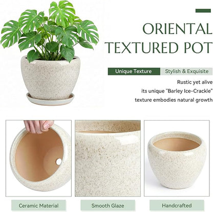 10.2 Inch Ceramic Planter with Saucer Leak-Proof Mesh &Drainage, Round Plant Pot with Gardening Gloves for Indoor Outdoor Plants