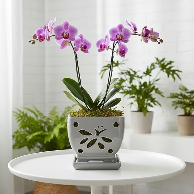 Orchid Pots with Holes Square Ceramic Orchid Planter Pots 5.5 inch (Gray)