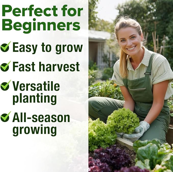 HOME GROWN 11,500+ Heirloom Lettuce Seeds - 10 Varieties Including Romaine, Buttercrunch, Iceberg, Kale & Spinach - Non-GMO USA Seeds for Planting Indoor, Outdoor & Hydroponic Gardens