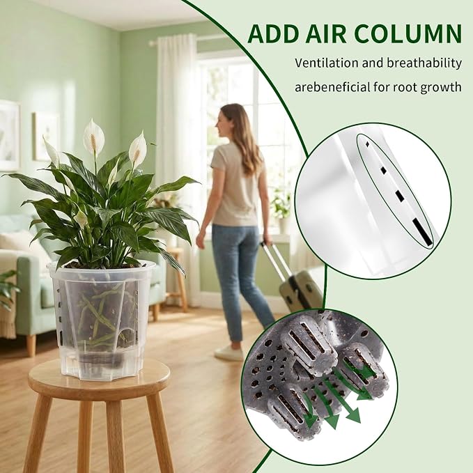 Cdd's Path 5 Inch Clear Self Watering Pots Set, 12 Pack Naked Root Planter with Deep Water Tank, Large Drainage Holes, Reservoir & Air Pipes for Indoor Outdoor Plants, Flowers, Seedlings