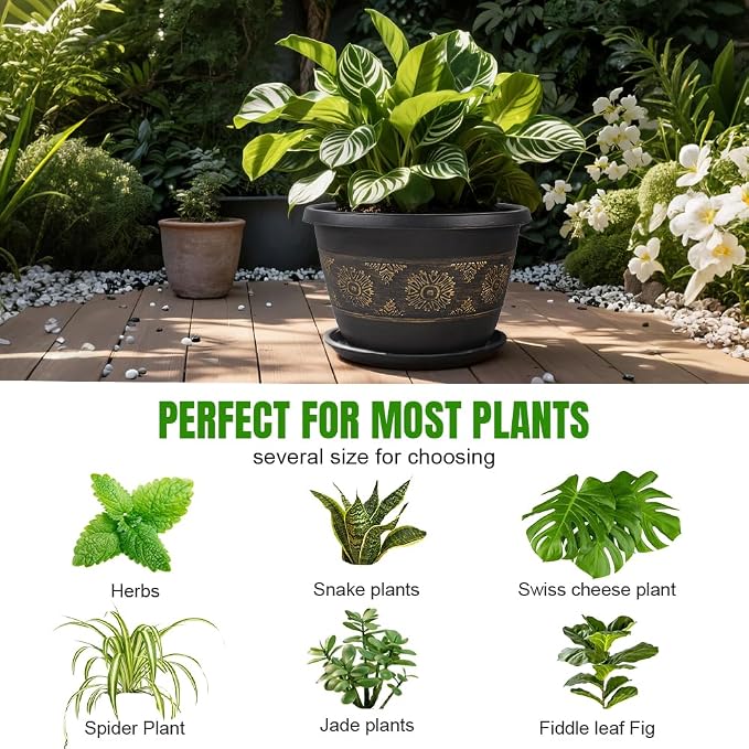 Usocik 8 Inch Retro Plant Pots 6 Pack with Drainage and Saucers Gold | Gold retro PP pots with drainage holes and saucers for herbs succulents starter plants shelves and windowsills