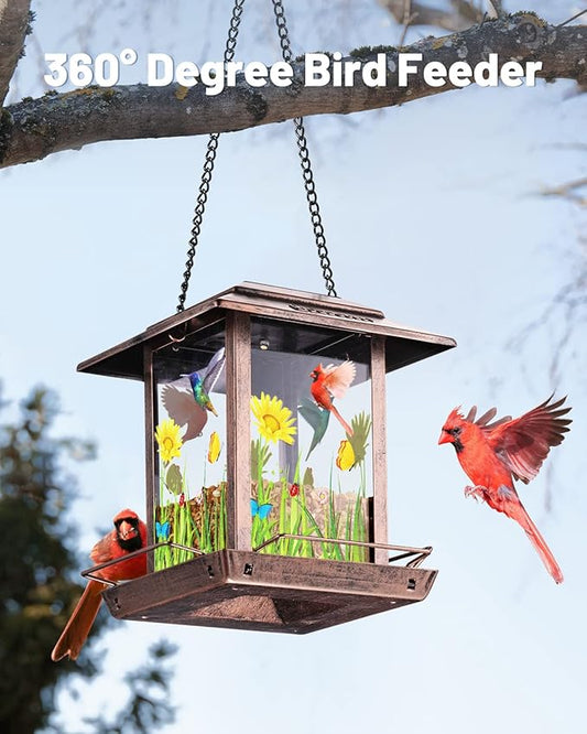 DesGully Solar Bird Feeders for Outdoors - 2.5 LBs Metal Wild Large & Small Bird Feeder for Outside Hanging, Gift Ideas for Avian Enthusiast Garden Yard Seeds (Chew-Proof, Weather Resistance)