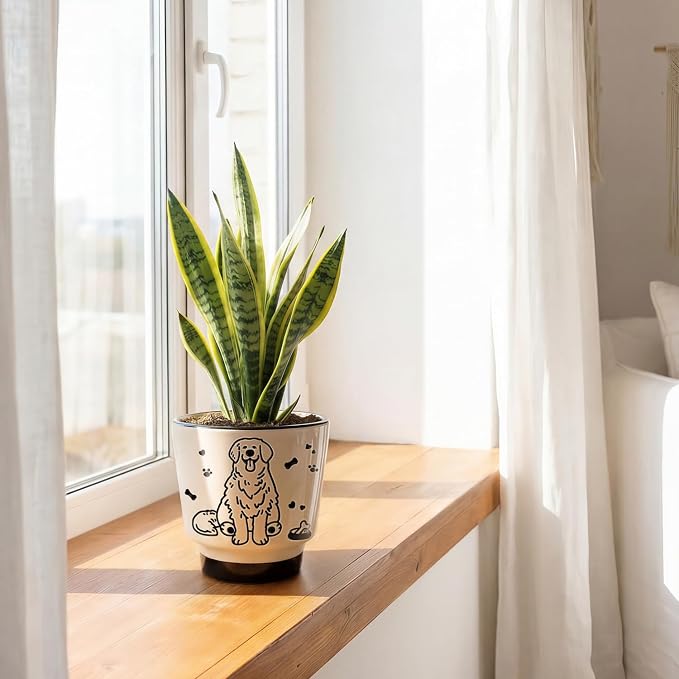 Ceramic Planter 5 Inch Plant Pots Indoor Succulent Plant Pot Cute Flowerpot | Unique Dog Pattern