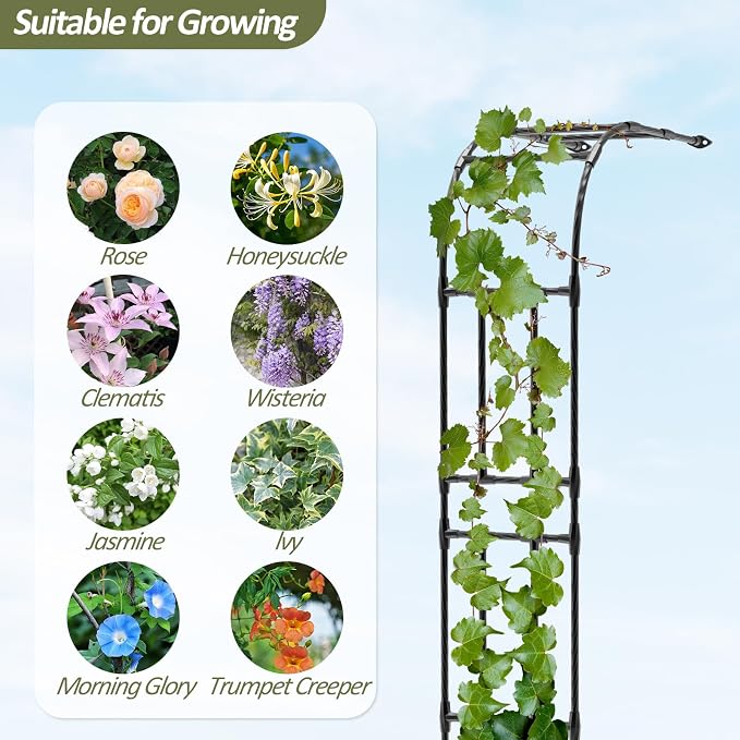 Half Garden Arch - 47in(L)*94.5in(H),Wall Trellis for Climbing Plants Outdoor, Metal Arch with Plastic-Coated Steel Pipe, Arbor Trellis for Lawn, Patio, Backyard Decorations(20MM Pipe)