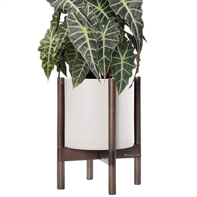 D'vine Dev Plastic Pot with Walnut Wood Stand, Oatmeal, 10 in, 55-C-L-4 | Mid-Century Inspired Design, Elevated Plant Display, Clean Lines, Sturdy Support, Modern Space-Saving Style