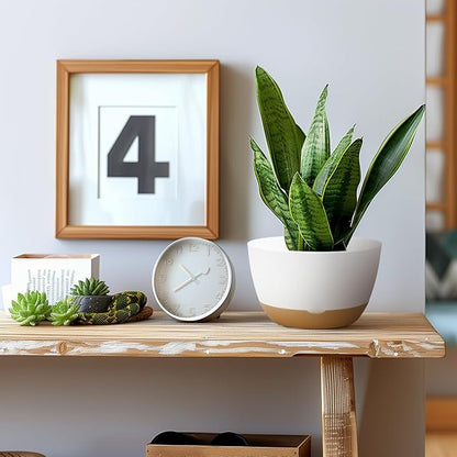 Koalaime 8/10/12 Inch Pots for Indoor Plants, Large Self Watering Planters with Drainage and Saucers, Plastic Outdoor Flower Pot, Set of 3, White