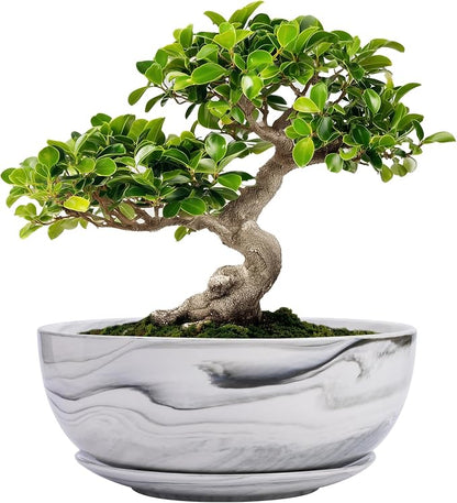 G EPGardening Bonsai Pots, 8 Inch Marble Pattern Ceramic Succulent Pot with Drainage Hole and Plant Saucer, Large Round Planter for Indoor Outdoor Plants, Modern Flower Pot, Plants Lovers Gifts, Grey