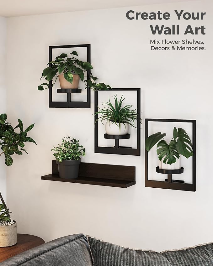 Bamworld Hanging Planters for Indoor Plants Wall Decor Living Room Plant Stand Indoor Wall Planters Plant Hanger Window Plant Shelves 3 Pack for Outdoor Entryway