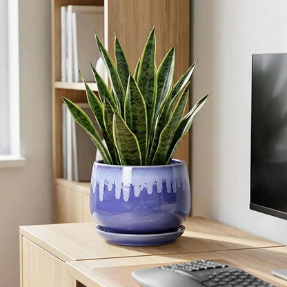 Ceramic Planter for Plants- 9 Inch Plant Pots Indoor with Drainage and Saucer, Decorative Planters, Durable Round Indoor Flower Pot, Garden Room Decor, Plant Gifts for Women Men, Blue