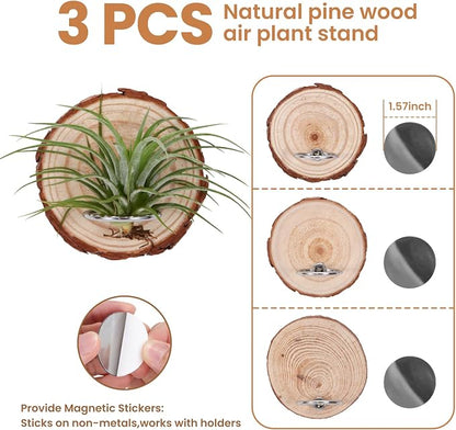 Magnetic Air Plant Holder, Natural Wood Slices Refrigerator Magnet Live Air Plant Holders, Modern Farmhouse Wall Decor for Living Room Bedroom Kitchen Office Home Garden (3 Pack)