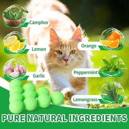 Ponal Cat Deterrent Outdoor, Natural Peppermint Oil Cat Repellent Outdoor Indoor, Mulch & Flower Permanently Against Scratch and Chew, Keep Cats Off Lawn, Yard, Garden, Keep Cats Away, 10 Pack, Green