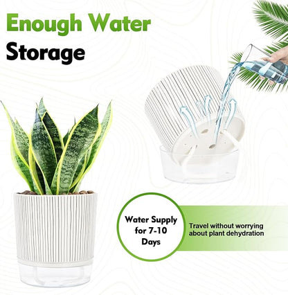 Self Watering Pots for Indoor Plants, 6 & 5 & 4 Inch Stylish Flower Pots, Set of 3 Modern Planters with Self-Watering Feature (Black Stripes)