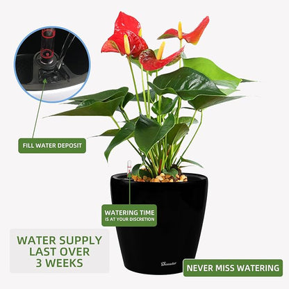 Dexceder 15x14 Self Watering Planter with Wheels (Black Matte) | Inner Pot Design, Thickened Large Floor Standing Flower Plant Pot with Water Level Indicator Indoor Outdoor