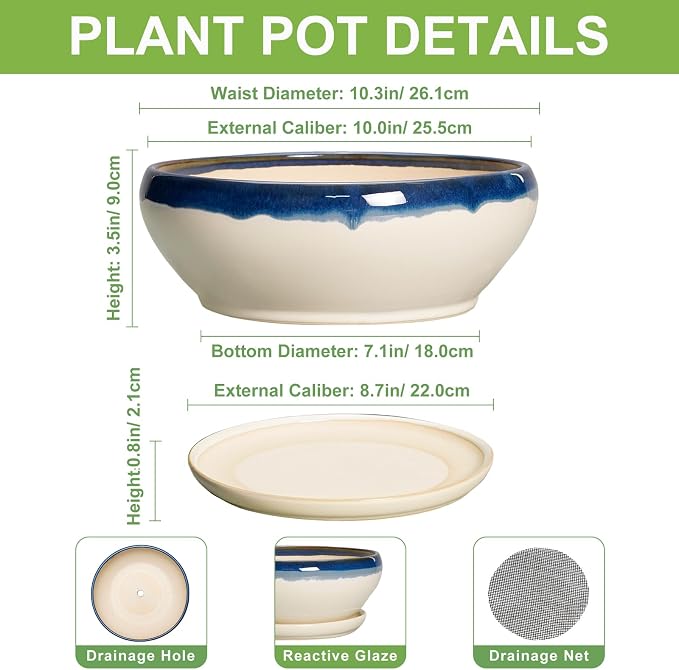 SQOWL Bonsai Pots, 10 Inch Ceramic Pots for Succulents, Blue-Beige | Shallow Planter with Drainage Hole and Saucer, Round Succulent Planters Bowl, Kitchen Decor, Housewarming Gifts