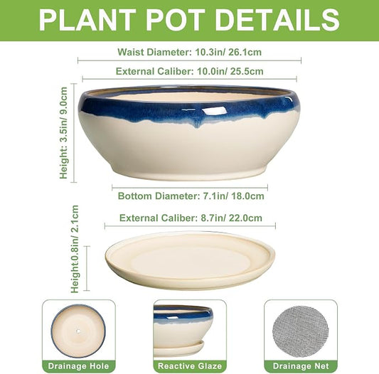 SQOWL Bonsai Pots, 10 Inch Ceramic Pots for Succulents, Blue-Beige | Shallow Planter with Drainage Hole and Saucer, Round Succulent Planters Bowl, Kitchen Decor, Housewarming Gifts