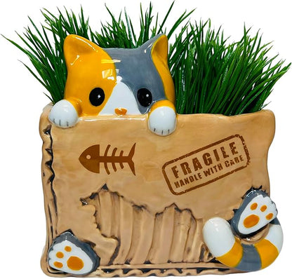 Streamline Imagined Cat in the Box Planter