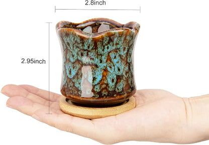Succulent Pots with Drainage Tray, Cute Ceramic Pots for Plants Set of 6
