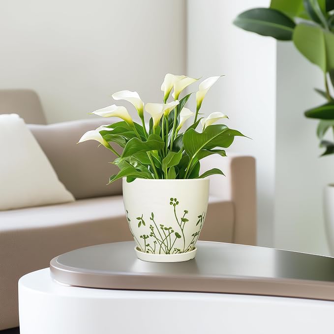 MPotTo Ceramic Plant Pot, 6.8 Inch, White | Indoor Flower Pot, Drainage Hole and Saucer, Decorative Boho Round, Outdoor Indoor Planter