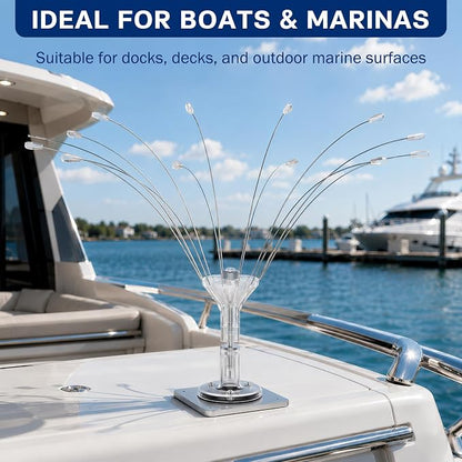 Buzzlett Stainless Steel Bird Deterrent with PVC Base for Outdoors, Boats, Docks and HVAC - Efficient Bird Repellent for Birds, Deters Seagulls and Other Birds from Landing- 2ft