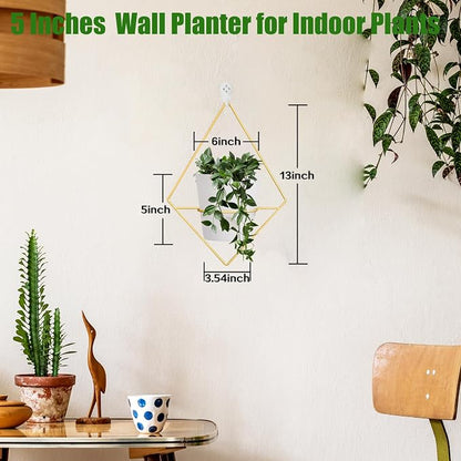 Koalaime 3 Sets Wall Planters for Indoor Plants Geometric Hanging Planters for Indoor Plants - Self-Watering Flower Pots with Black Metal Holder, Mounted Succulent Planter, 5" Black Plant Pot