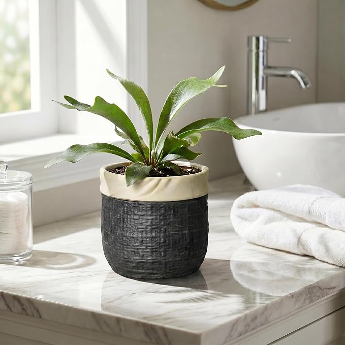 Ceramic Flower Pots - 6 Inch Pots for Plants Indoor Plants, Round Planter with Drainage Hole and Plug, Boho Decorative Plant Pot, House Room Garden Decor, Garden Gift for Women, Black